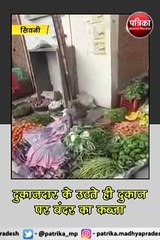 सिवनी: दुकान पर बैठकर सब्जी बेच रहा बंदर !