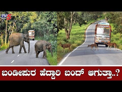 ಬಂಡೀಪುರ ಹೆದ್ದಾರಿ ಬಂದ್ ಆಗುತ್ತಾ..?| Bandipur National Highway | Supreme Court | TV5 Kannada