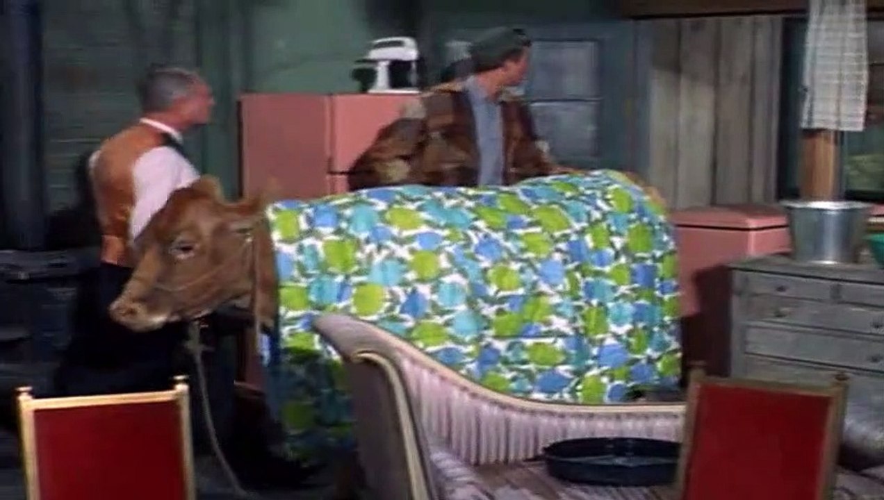 Green Acres S01E12 Lisa Has A Calf