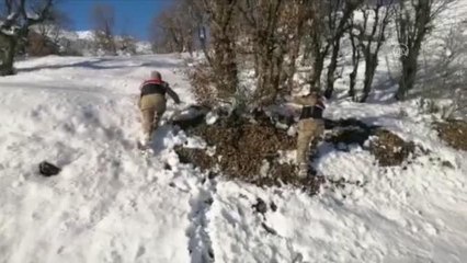 Yavru köpeği jandarma hayata döndürdü