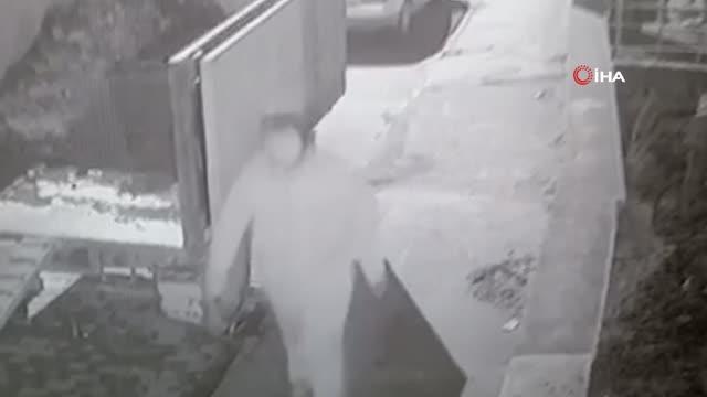 Kediye işkence ederek telef eden şahıs tutuklandı