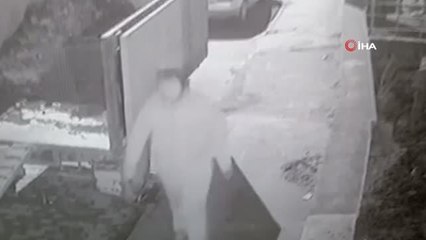 Kediye işkence ederek telef eden şahıs tutuklandı