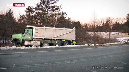 ABD'de maymunları taşıyan araç kaza yaptı: 3 maymun kayıp