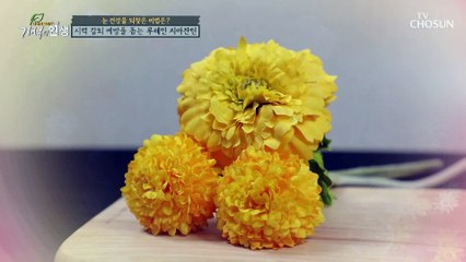 시력의 90%를 담당하는 효자템 루테인 지아잔틴 TV CHOSUN 20220122 방송