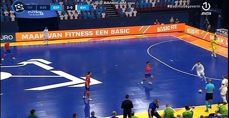 Historijski gol BiH na euru