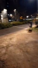 Grenoble  Janvier  2022  #France (35)