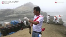 بدون تعليق: جهود حثيثة من قبل المتطوعين وأنصار حماية البيئة لرعاية الحيوانات المتضررة على شواطئ ليما