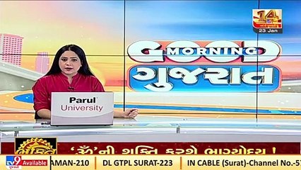 Sharp decline in migratory birds arriving at Navsari coast _ TV9News