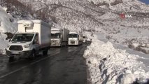 Şırnak-Hakkari karayolunda araçlar karda mahsur kaldı