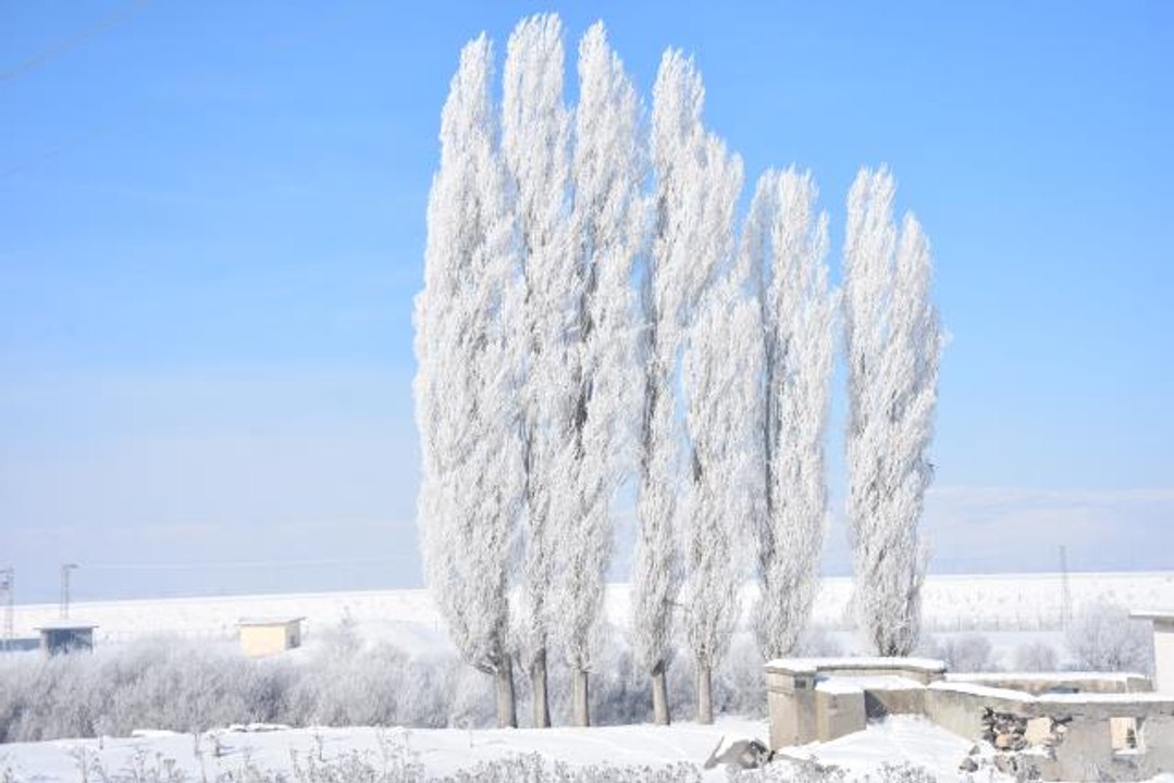 Doğu'da soğuk hava