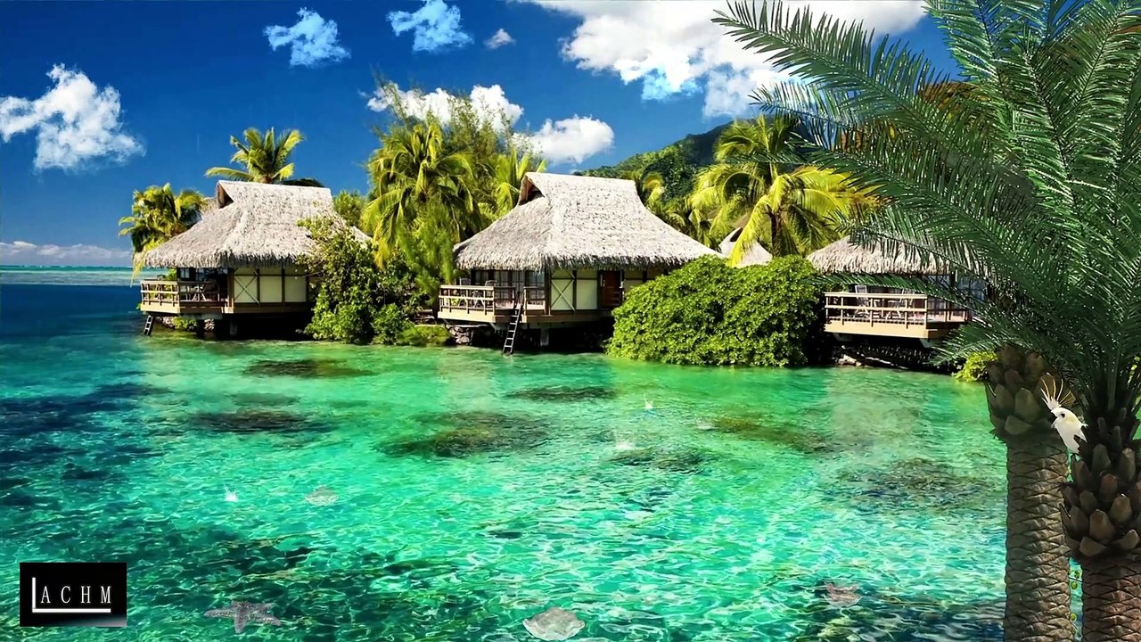 Relaxing Nature Ambiences, Sounds For Background In Twitch, Trovo, Others, Royalty Free