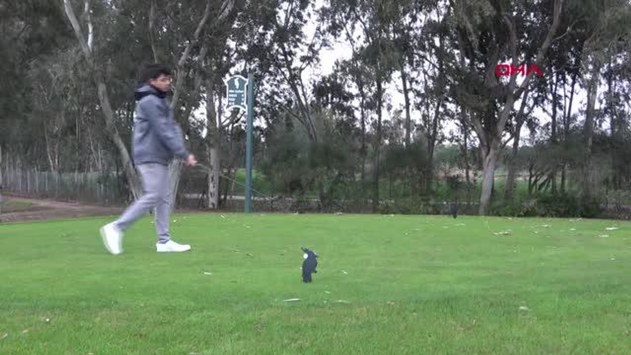 SPOR TGF Türkiye Golf Turu 1. Ayak mücadelesi Antalya'da başladı