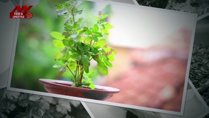 Thyroid की प्रॉब्लम होगी मिनटों में दूर, इन घरेलू नुस्खों को आजमाकर फायदे मिलेंगे भरपूर |Thyroid Home Remedies
