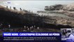 Une immense marée noire provoque une catastrophe écologique au Pérou