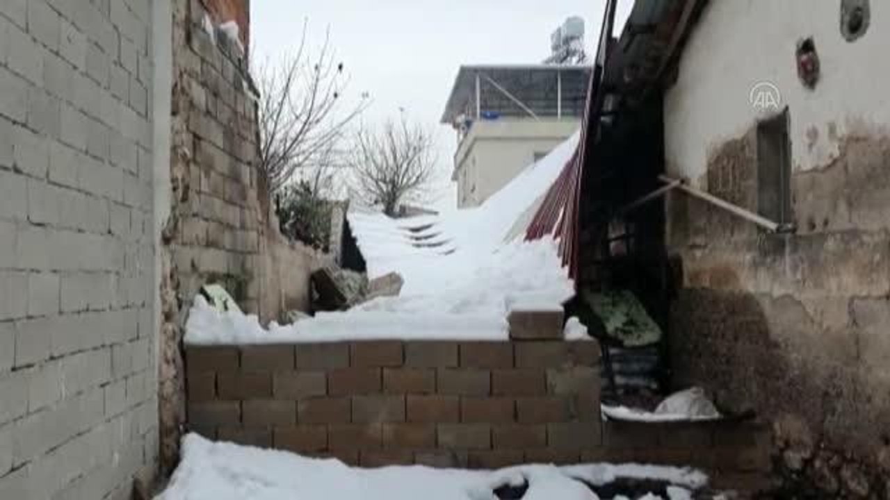 Kar nedeniyle çatısı çöken ağıldaki 19 keçi kurtarıldı