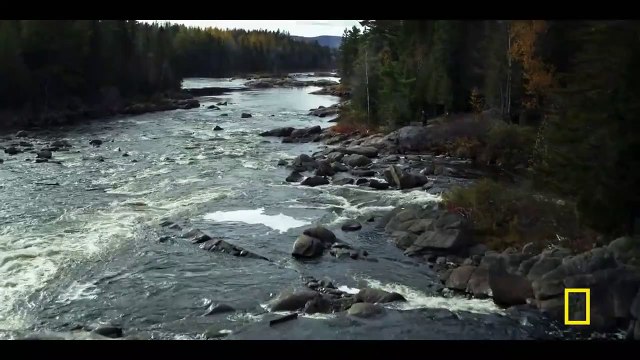 Barkskins Saison 0 - Nat Geo’s BARKSKINS | Limited Series Trailer (EN)