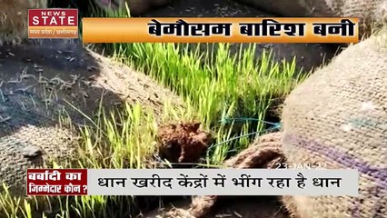 बोरे में हजारों क्विंटल धान हुआ अंकुरित !