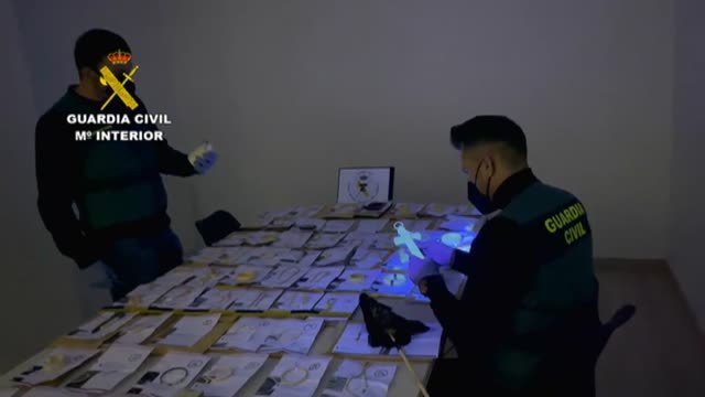 Recuperadas 100 piezas de marfil y pieles de serpientes y lagartos para su venta ilegal en el País Vasco