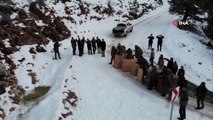Antalya'da yakalanan 7 yaban keçisi, Karanlıkdere Kanyonu'nda doğaya bırakıldı