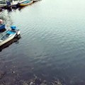 Suasana di Waduk Gajah Mungkur