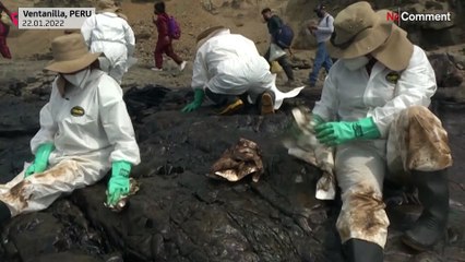 شاهد: طواقم التنظيف تعمل على تطهير الشواطئ من النفط المتسرب في سواحل بيرو