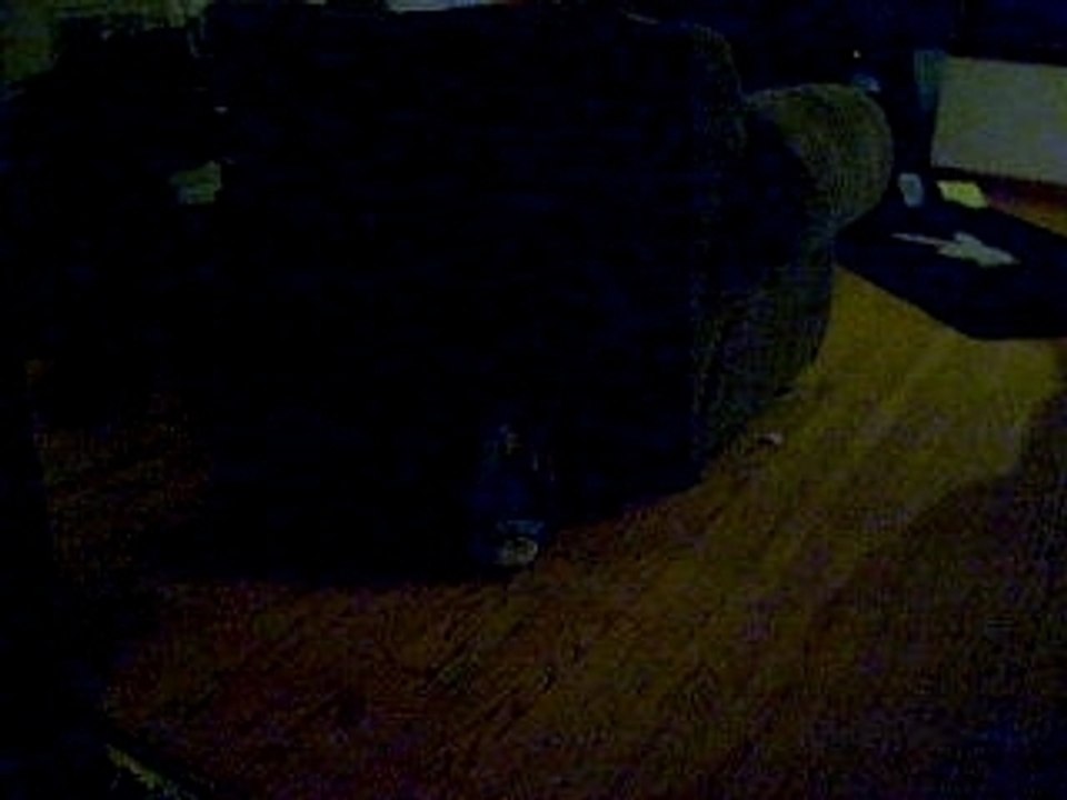 tug o' war w/ Eeyore