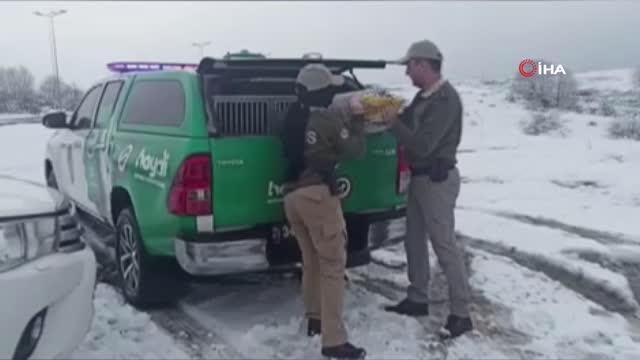 Polis ekipleri sokak hayvanlarını besledi