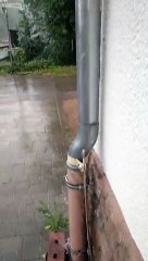 Der Eichelgarten in Haßloch - Mängel über Mängel