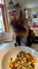 Beans make ya warm and schong on cold icy day!!