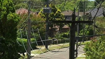 Energy operator warns of shortfalls in Qld and NSW tonight