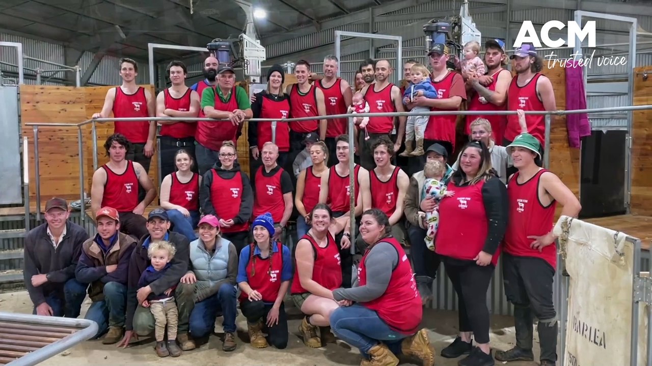 Shear for Cinny fundraiser to support family of late Walbundrie shearer Jacinta Beetson | June 14, 2022 | Border Mail
