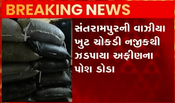 મહિસાગરઃ લસણના કોથળાની આડમાં અફીણના સપ્લાયનો થયો પર્દાફાશ, જુઓ વીડિયો