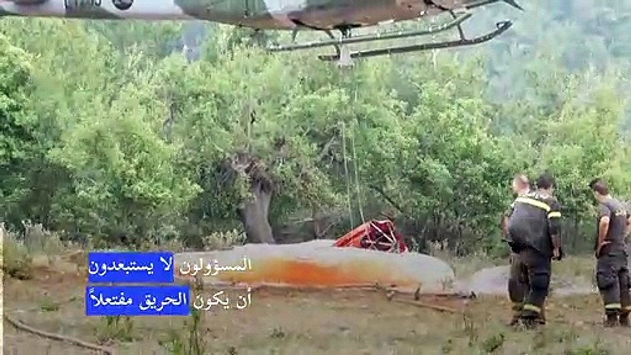جهود مضنية لإخماد حريق اندلع في أكبر غابة صنوبر بري في لبنان