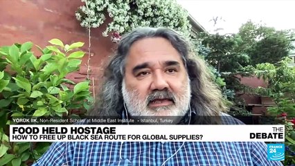Food held hostage: How to free up Black Sea route for global supplies?