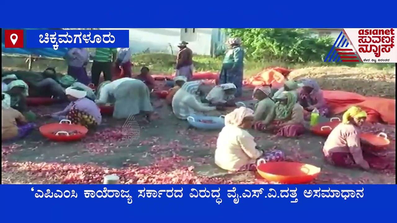 ಚಿಕ್ಕಮಗಳೂರು: ಈರುಳ್ಳಿ ಬೆಳೆದ ರೈತರು ಕಂಗಾಲು, ಕಣ್ಣೀರಲ್ಲೇ ಕೈತೊಳೆಯುತ್ತಿರುವ ಅನ್ನದಾತ