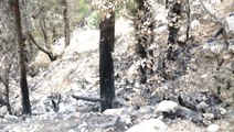 Lebanese firefighters battle forest fires
