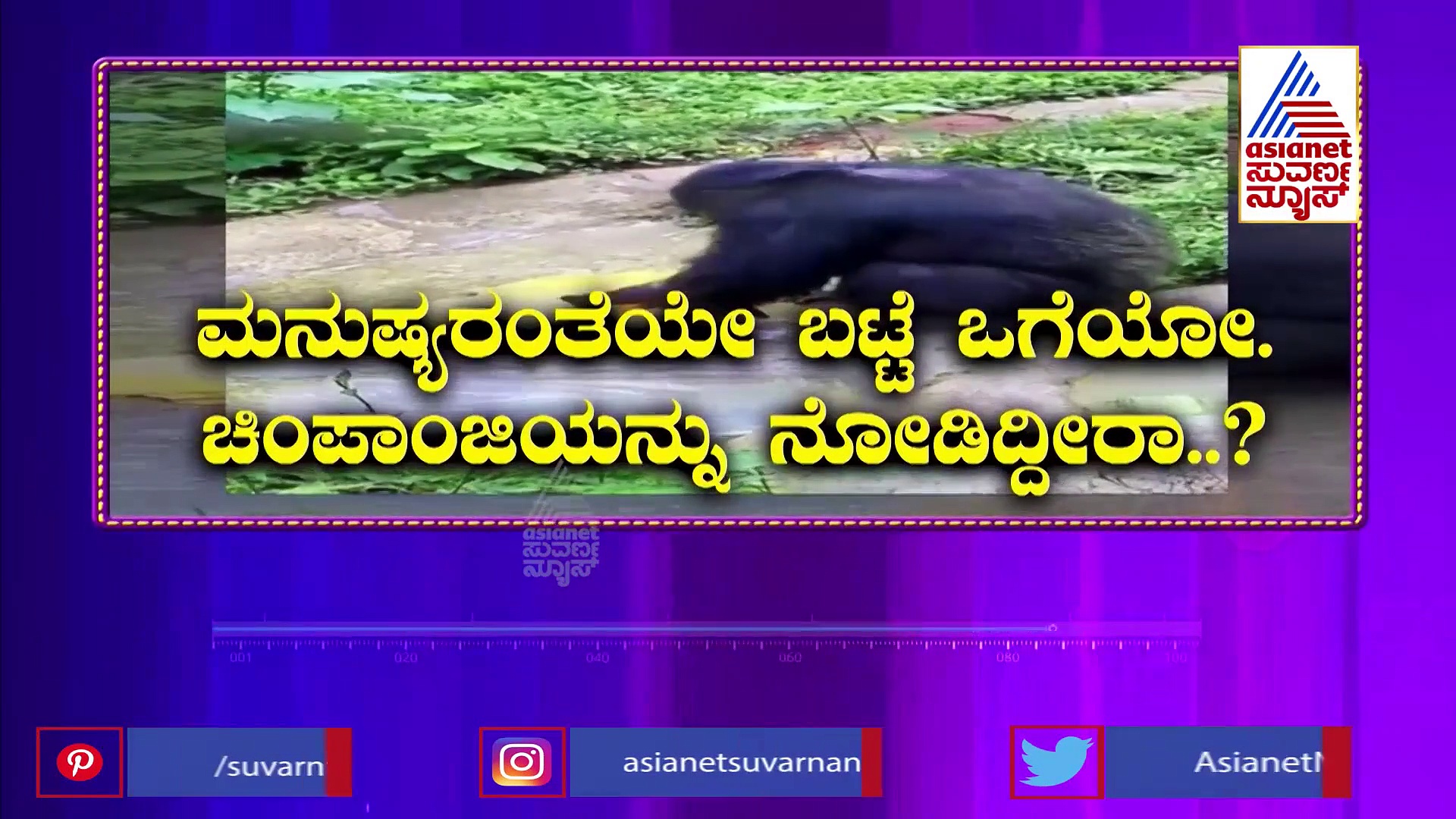 ಮನುಷ್ಯರಂತೆ ಬಟ್ಟೆ ಒಗೆಯುವ ಚಿಂಪಾಜಿಯನ್ನು ನೋಡಿದ್ದೀರಾ.? ಇಲ್ಲಾಂದ್ರೆ ನೋಡಿ!