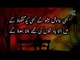 Kabhi Khamosh Baithoge Kabhi Kuch Gungunaoge | NAZEER BANARASI | Urdu Sad Poetry