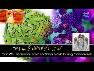Sana Makki Ka Istemal Corona virus ma? is Senna Leaves benefited?   (Urdu/Hindi)