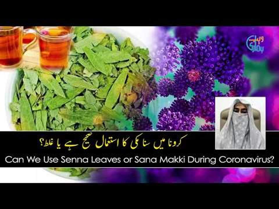 Sana Makki Ka Istemal Corona virus ma? is Senna Leaves benefited?   (Urdu/Hindi)
