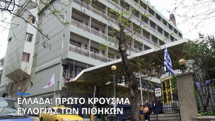 ΕΟΔΥ: Το πρώτο κρούσμα ευλογιάς των πιθήκων στην Ελλάδα