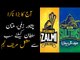 Match Predictions: Peshawar Zalmi vs Multan Sultan Tough Match Tonight