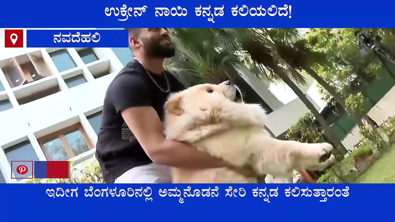 Russia- Ukraine War: ವಿದ್ಯಾರ್ಥಿ ಜೊತೆ ಉಕ್ರೇನ್ ಶ್ವಾನ ಬೆಂಗಳೂರಿಗೆ, ಕನ್ನಡ ಕಲಿಯಲಿದೆ!