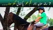 Youngest Pakistani Horse Jumper | Anaya Daar | Youngest Horse Rider In Pakistan |