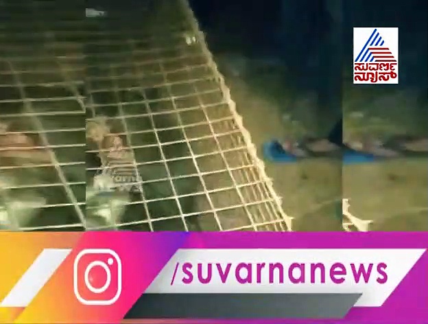 ನಂಬಿದ್ರೆ ನಂಬಿ! ಶಿವಮೊಗ್ಗದಲ್ಲಿ ಕಪಿಚೇಷ್ಟೆ ಮಾಡಿದ 70 ಮಂಗಗಳು ಅರೆಸ್ಟ್!