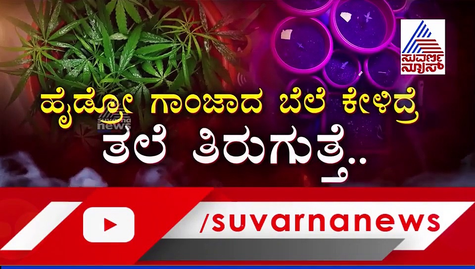 ಟಾಯ್ಲೆಟ್‌ನಲ್ಲೇ ಪ್ರಳಯಾಂತಕನ ನೆದರ್ಲ್ಯಾಂಡ್ ಗಾಂಜಾ ಕೃಷಿ..!