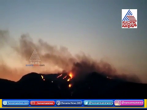 ಚಾಮರಾಜನಗರ ಬಿಆರ್‌ಟಿ ಹುಲಿ ರಕ್ಷಿತಾರಣ್ಯದಲ್ಲಿ ಬೆಂಕಿ