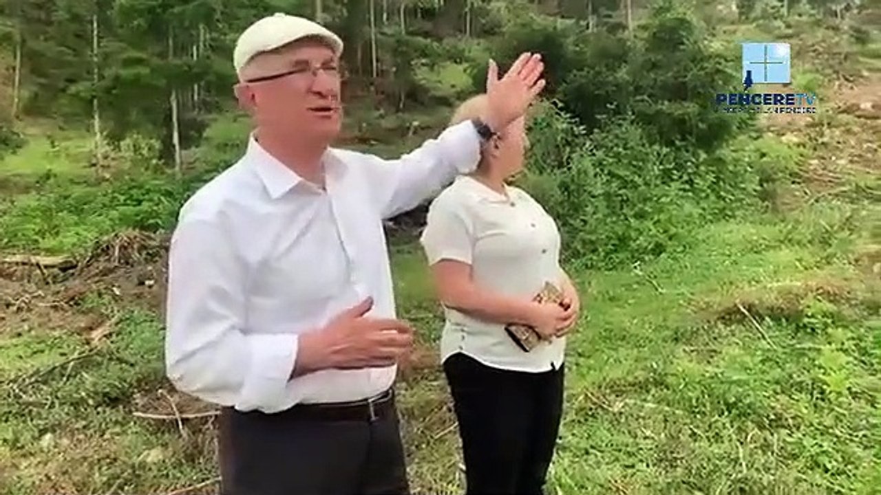 CHP'li Başkan Biber: Artvin'de Ağaç Katliamı Başladı