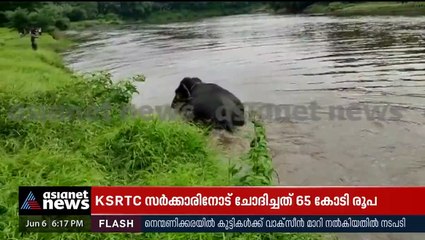മണിക്കൂറുകള്‍ നീണ്ട പരിശ്രമം, ഒടുവില്‍ ആനയെ കരയ്ക്ക് കയറ്റി!