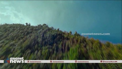 ഹമ്മിങ് ബേർഡ് കുടുംബത്തിന്റെ കഥകൾ!